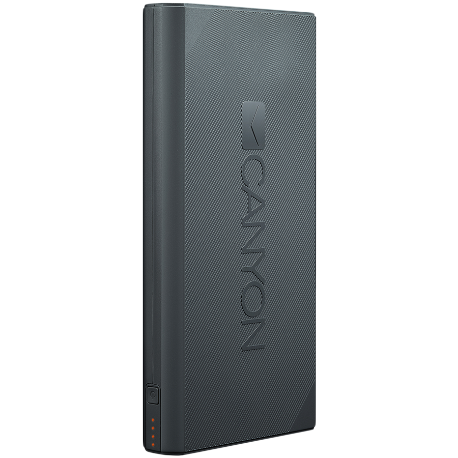 

Портативное зарядное устройство CANYON CNE-CPBF160 (CNE-CPBF160DG)