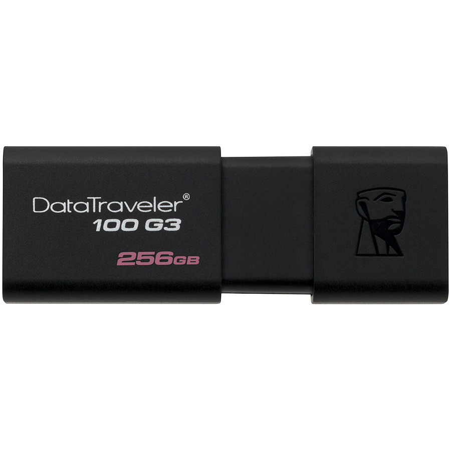 

Память ( USB flash ) KINGSTON DataTraveler 100 G3 256 ГБ (DT100G3/256GB)