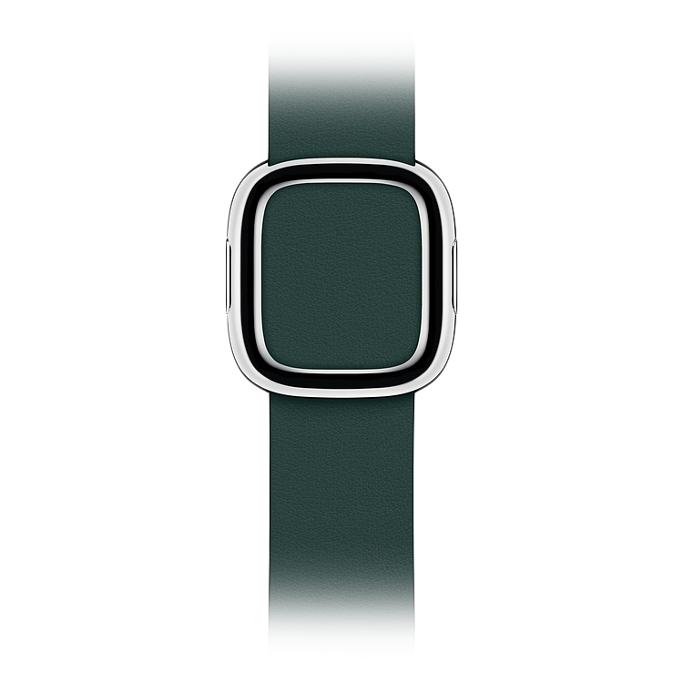 

Ремешок APPLE 40мм Modern Buckle - Small Зелёный лес (MTQH2ZM/A)