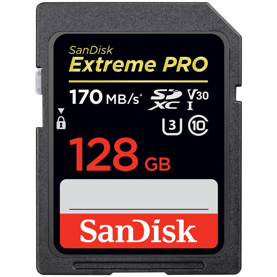 

SANDISK SDSDXXY-128G-GN4IN (SDSDXXY-128G-GN4IN)