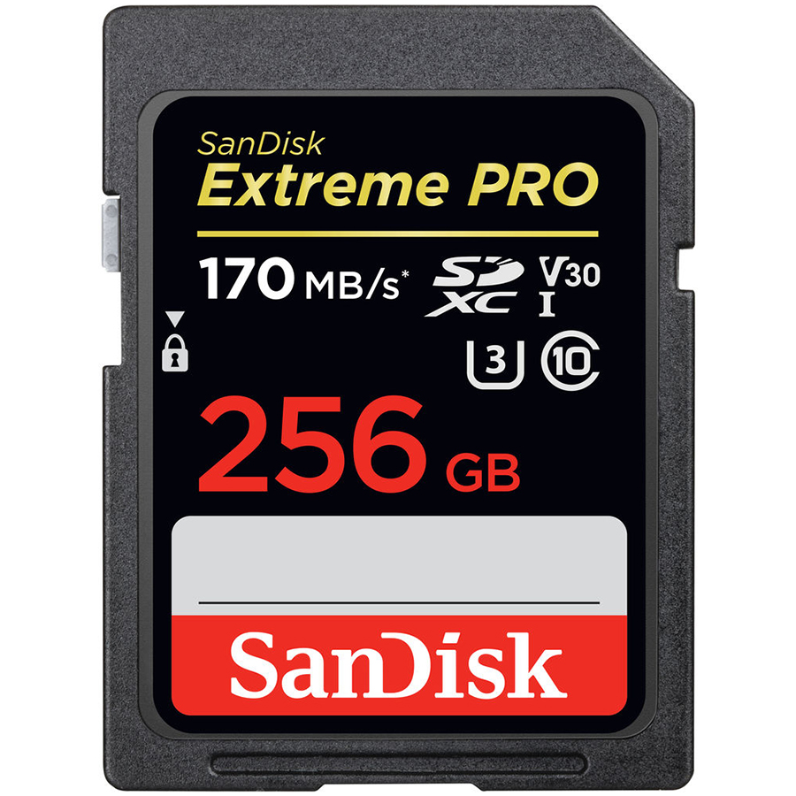 

SANDISK SDSDXXY-256G-GN4IN (SDSDXXY-256G-GN4IN)
