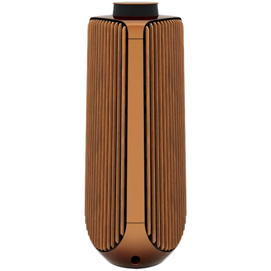 

Аудиосистема BANG & OLUFSEN BeoLab 50 Бронзовый (1620508)