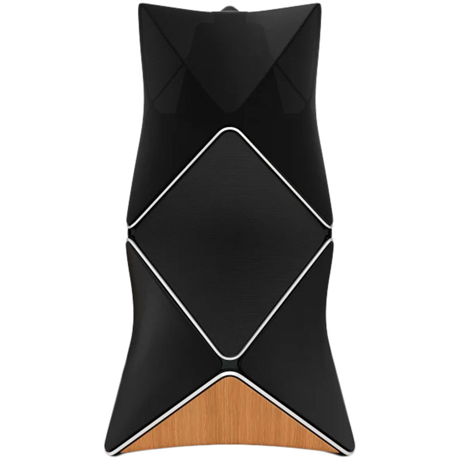 

Аудиосистема BANG & OLUFSEN BeoLab 90 Серебристый/Чёрный (1620281)