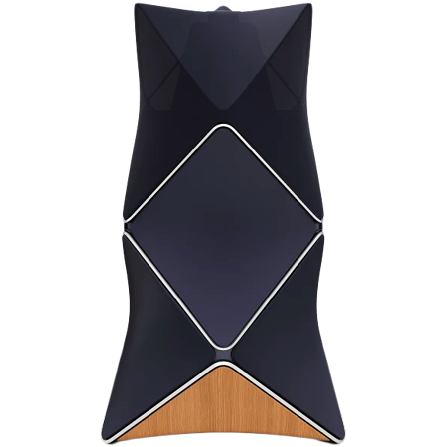 

Аудиосистема BANG & OLUFSEN BeoLab 90 Silver/Parisian Night (1620460)