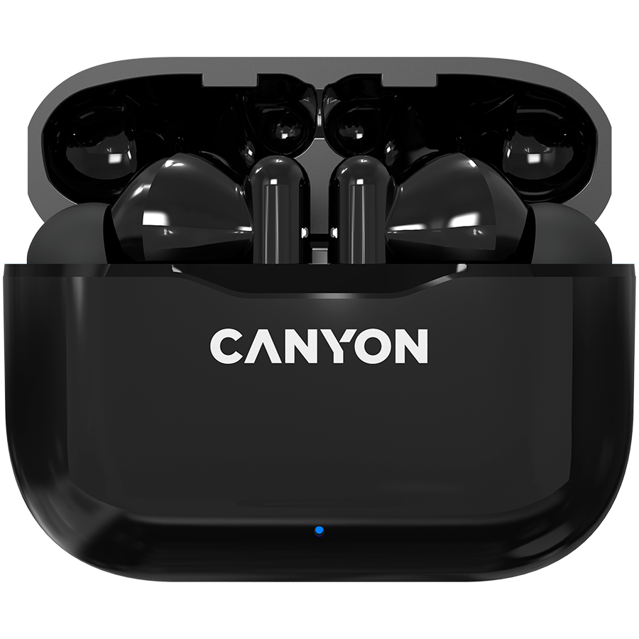 

Беспроводные наушники CANYON CNE-CBTHS3 Чёрный (CNE-CBTHS3B)