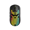 Gaming Mouse Haster GMW-18