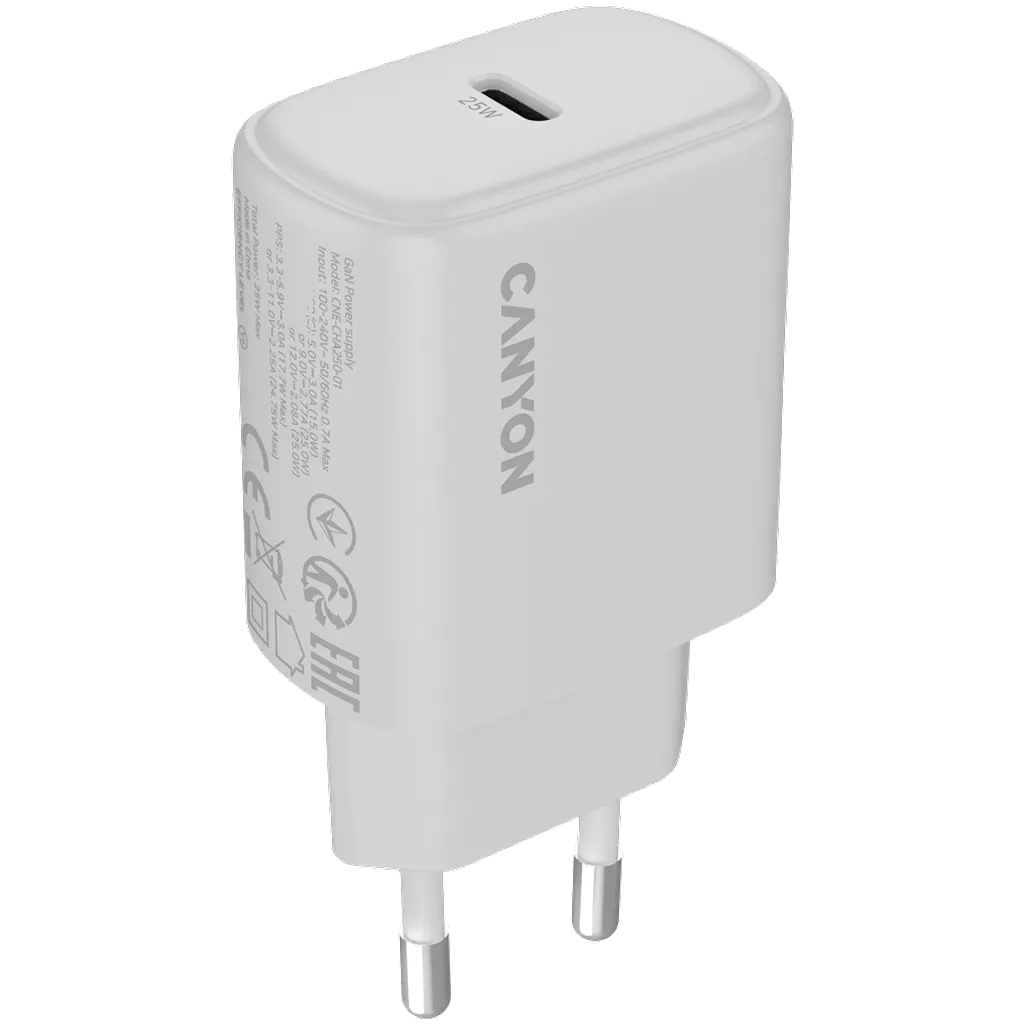 Wall Charger OnCharge 250