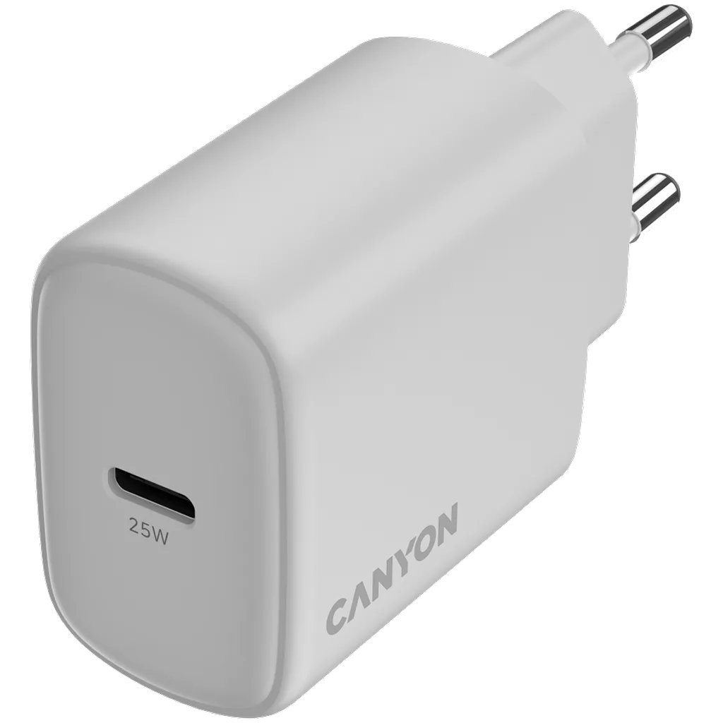 Wall Charger OnCharge 250 - Photo 4