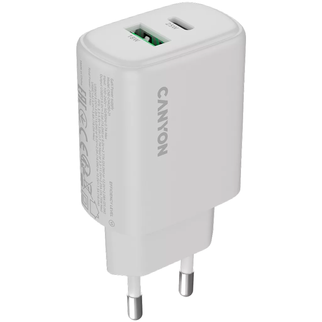 Wall Charger OnCharge 250