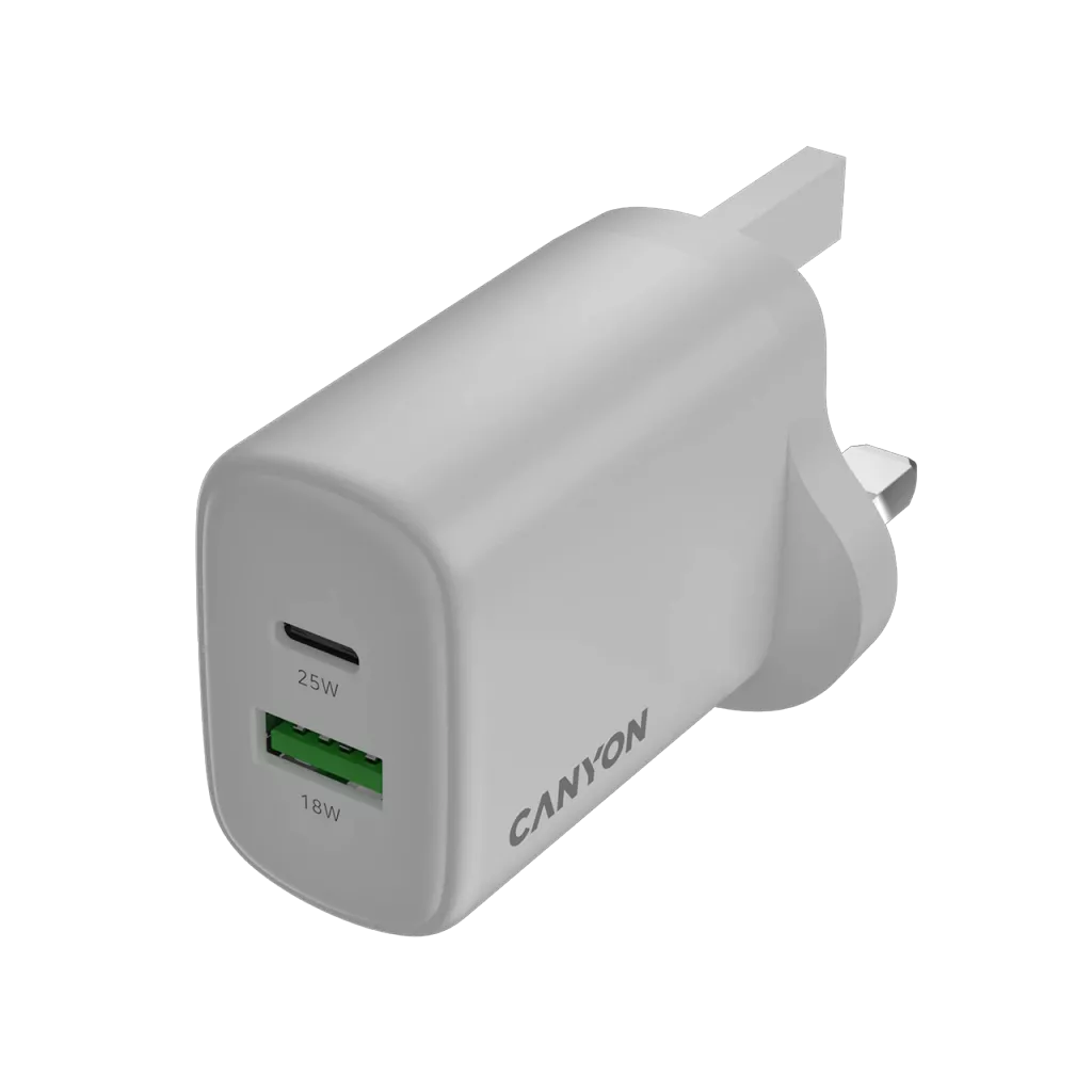 Wall Charger OnCharge 250 UK - Photo 4