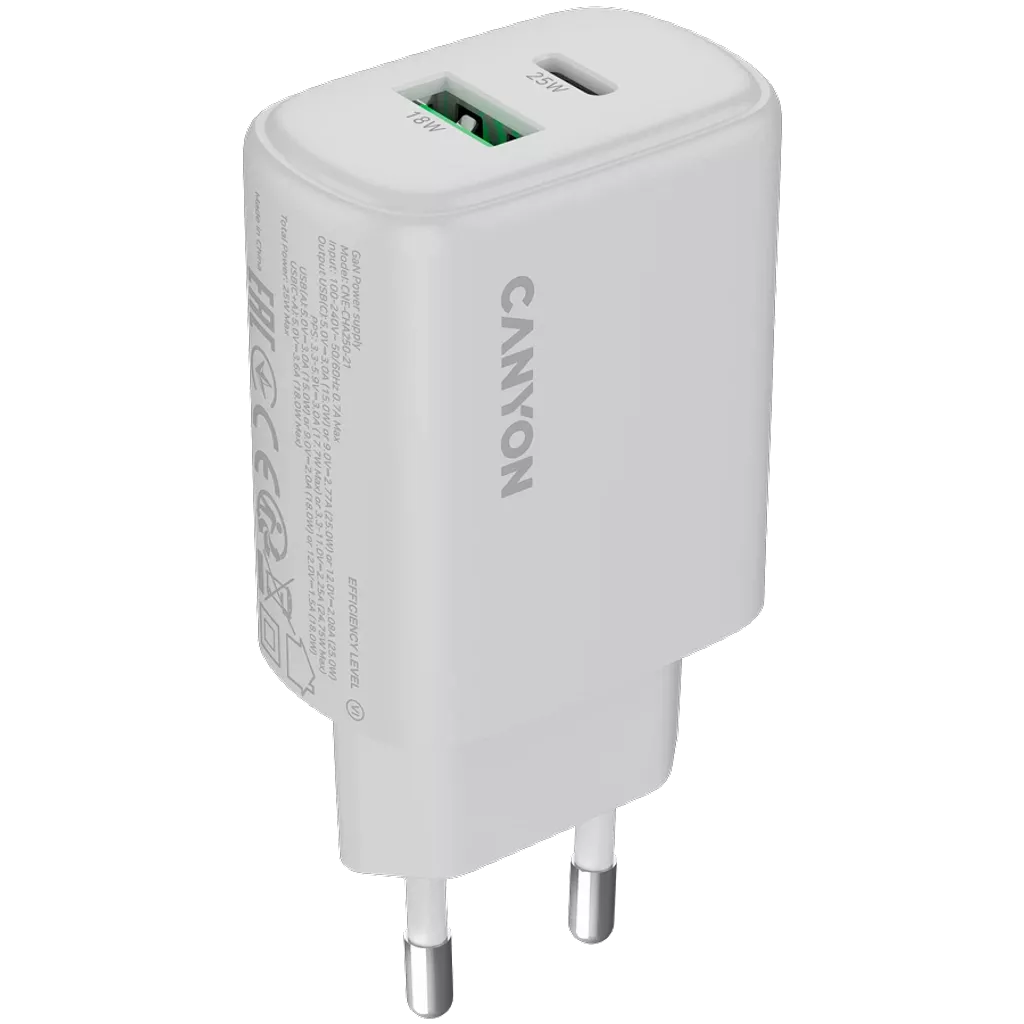 Wall Charger OnCharge 250