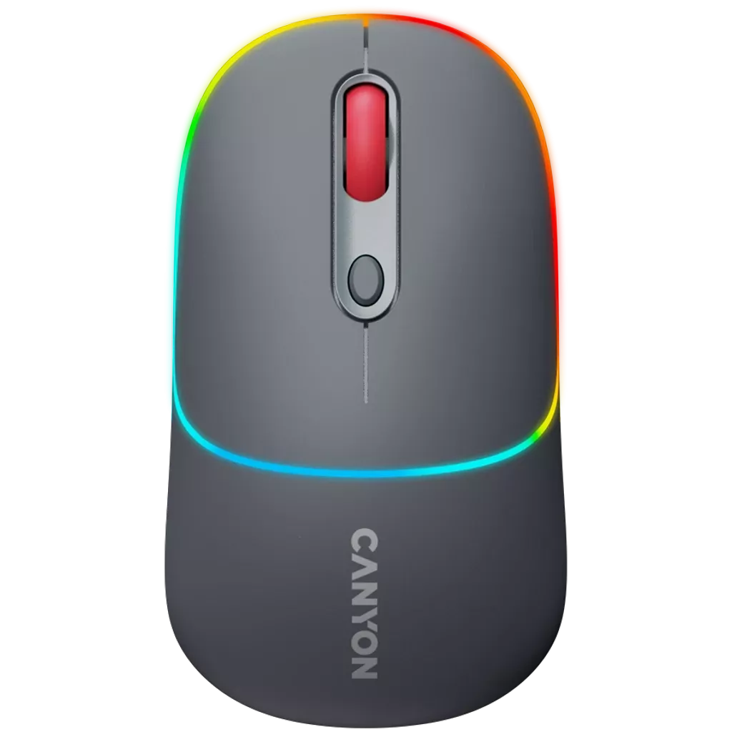Dual mode wireless mouse MW-22