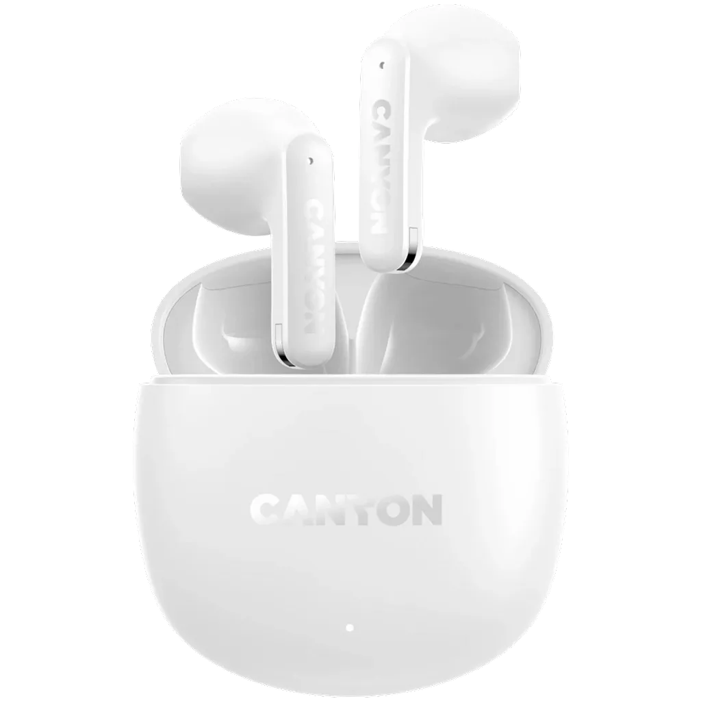 True Wireless Earbuds OnGo 13