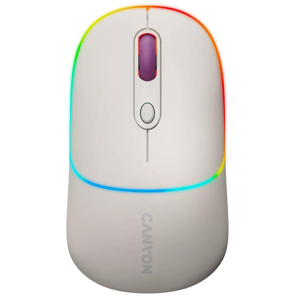 Dual mode wireless mouse MW-22