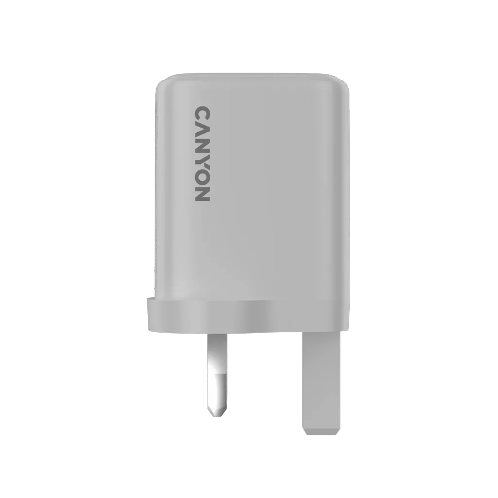Wall Charger OnCharge 250 UK - Photo 2