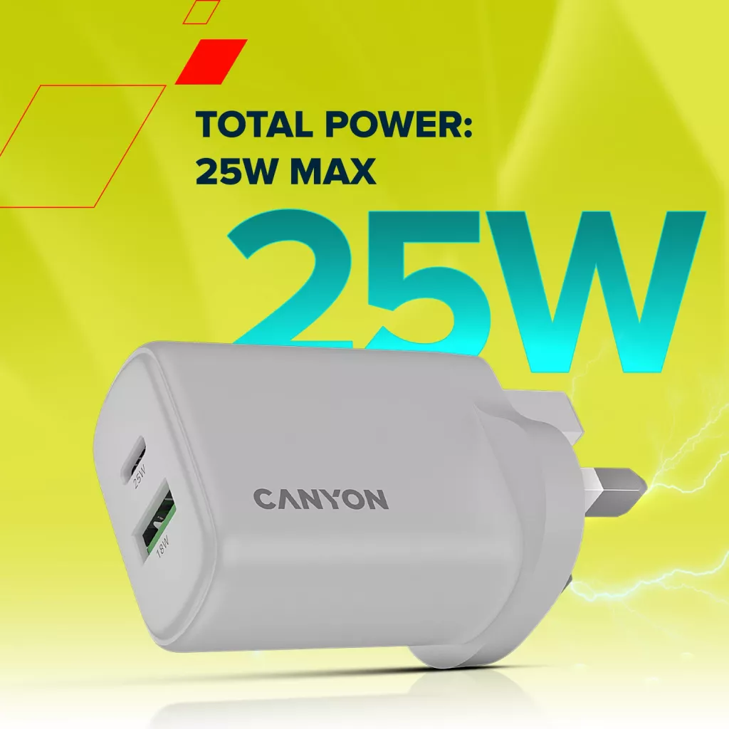 Wall Charger OnCharge 250 UK - Photo 6