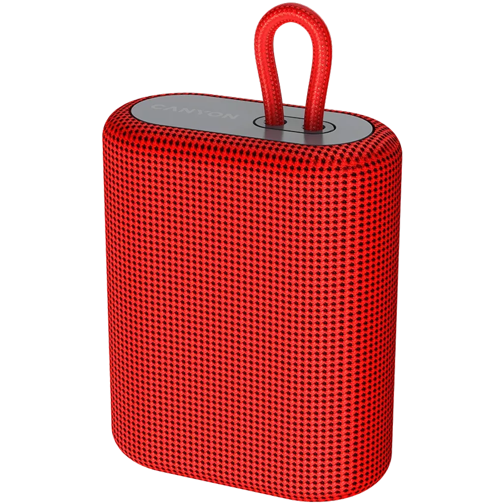 Portable wireless speaker BSP-4