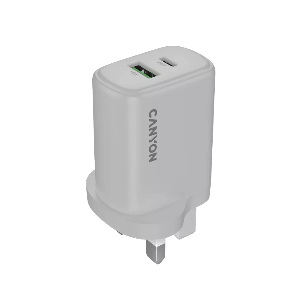 Wall Charger OnCharge 250 UK