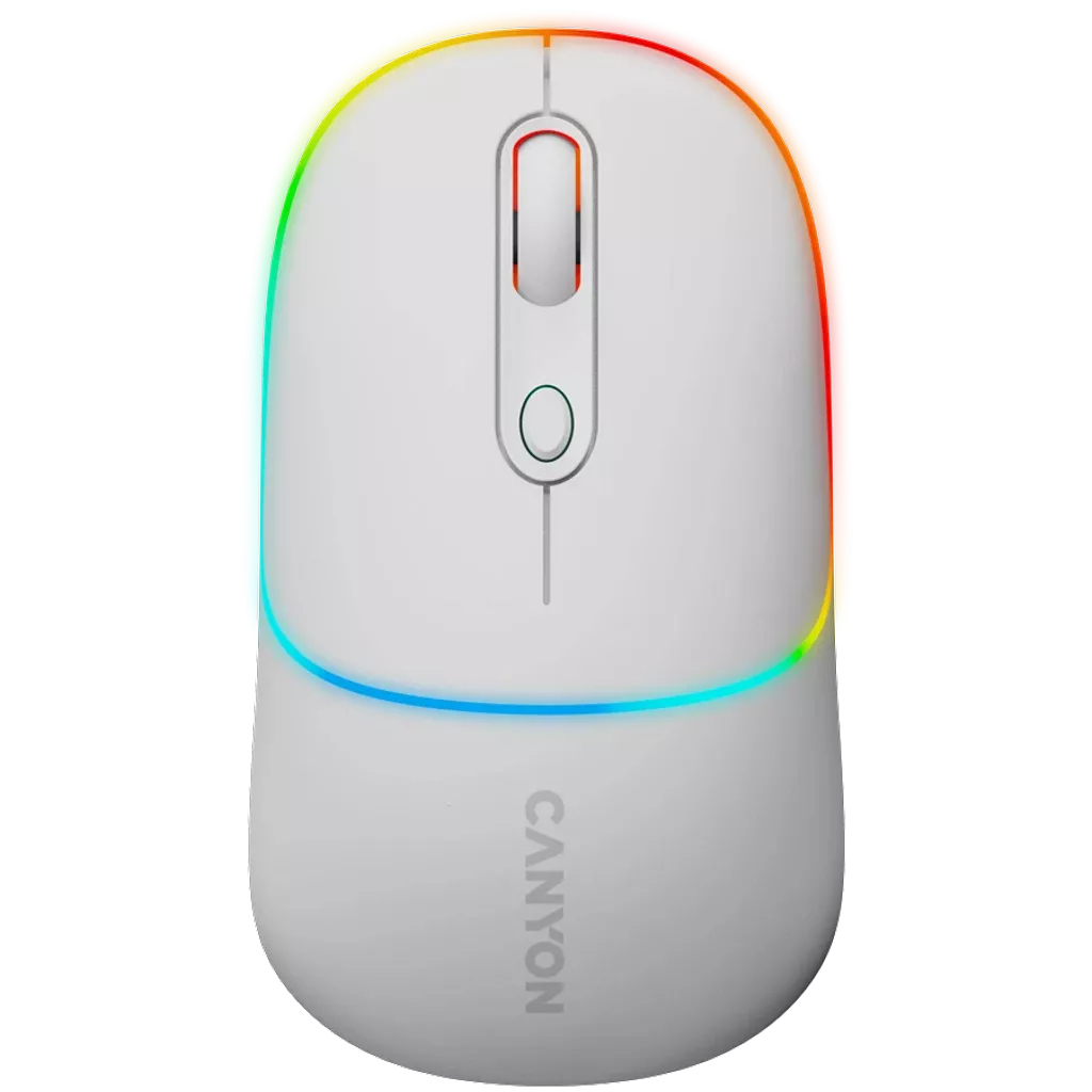 Dual mode wireless mouse MW-22