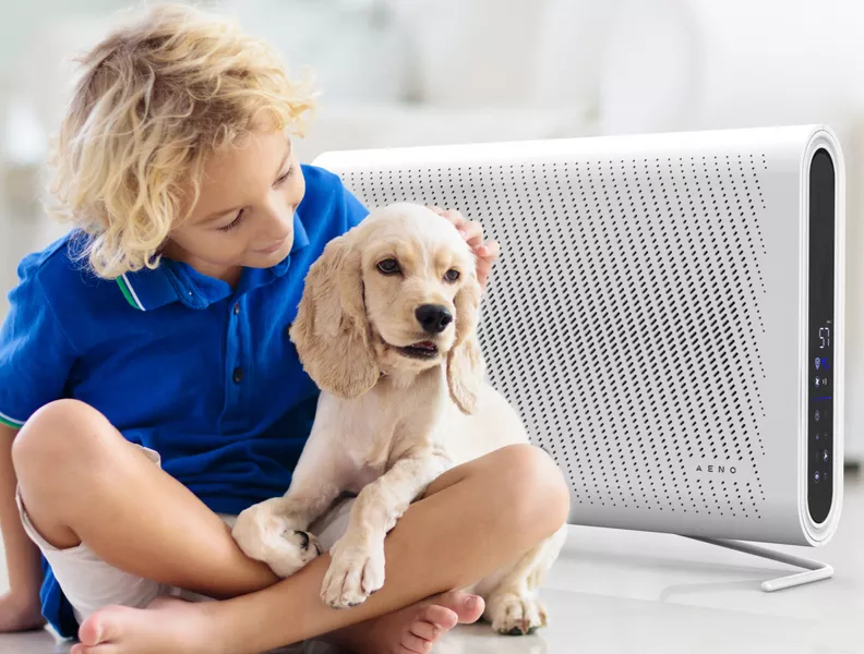 Reinigt de lucht van allergenen