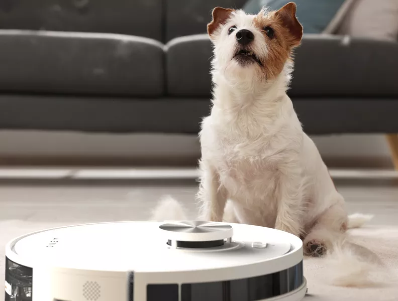 Effectieve dagelijkse reiniging van haren van huisdieren