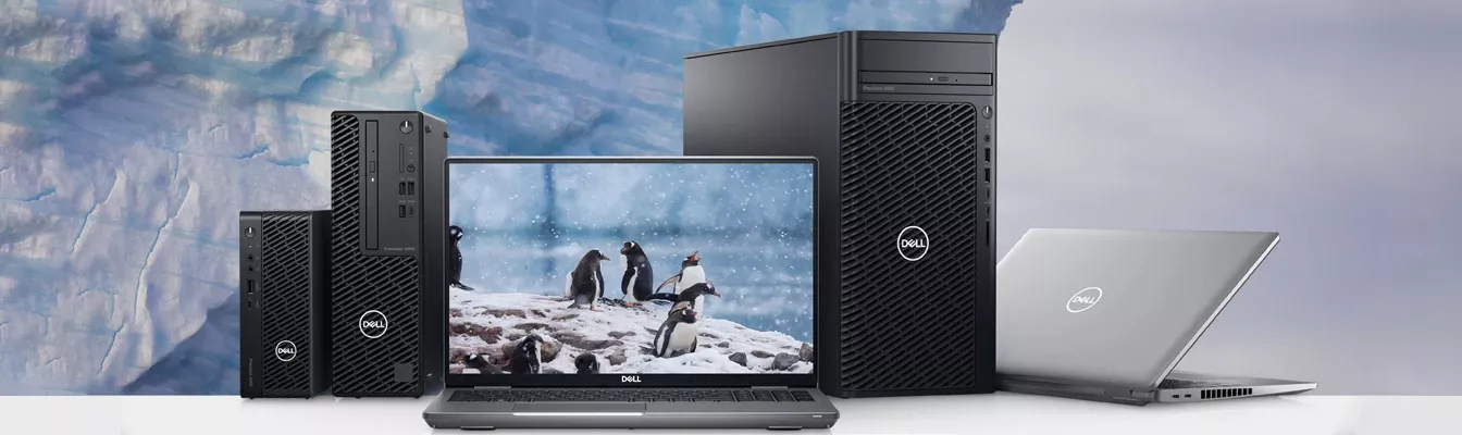 SUSTENABILITATEA DELL PRECISION