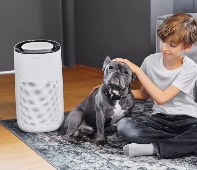 Reinigt die Luft von Allergenen