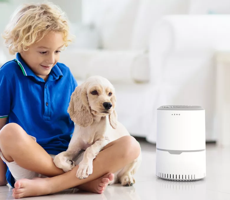 Очистка воздуха от аллергенов