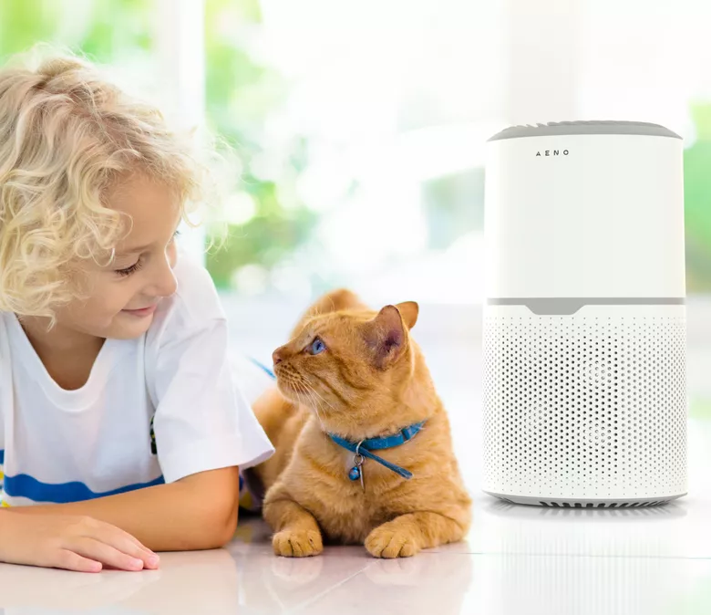 Tisztítja a levegőt az allergénektől