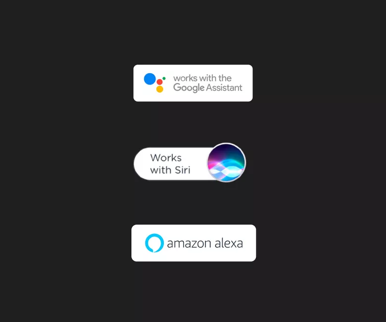 Φωνητικός έλεγχος