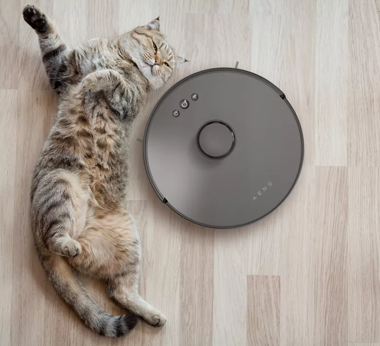 Αποτελεσματική καθημερινή αποτρίχωση κατοικίδιων ζώων