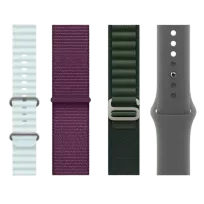 Watch Accessories