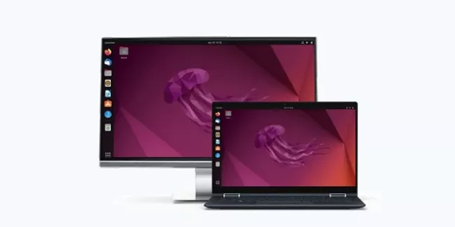 Scalefusion for Linux