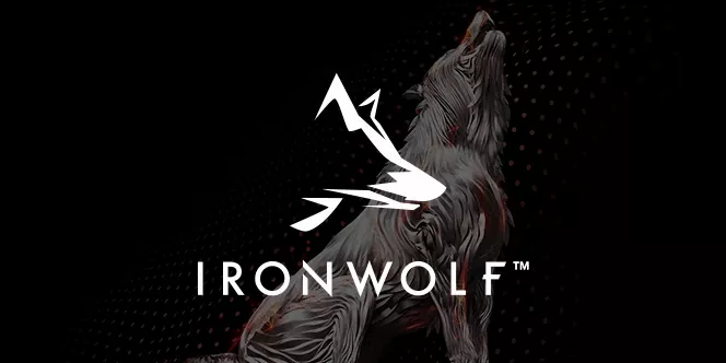 Seagate IronWolf NAS hard diskovi za mala i srednja preduzeća sa Rescue Data Security | ASBIS Srbija - ovlašćeni Seagate distributer