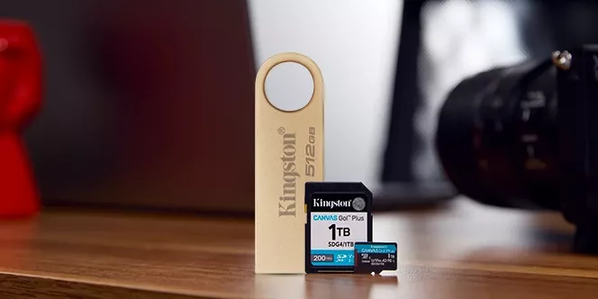 Kingston Flash памети (карти и USB)