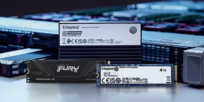 Kingston Solid State Drives
