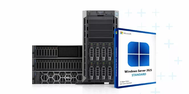 Standard - Microsoft Windows Server 2025 pe serverele Dell PowerEdge
