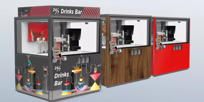 Advertising integration and customization options