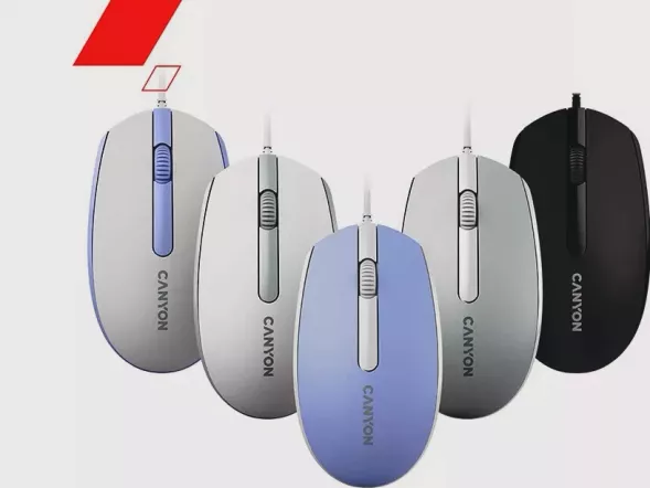 Canyon Mice