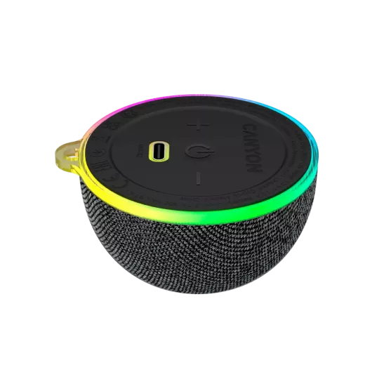 BT-compatible Speaker