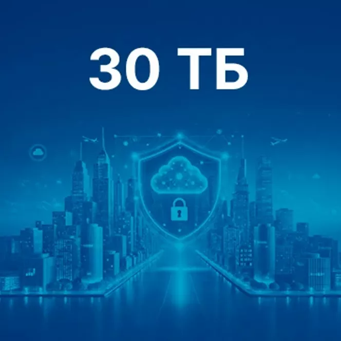 30 ТБ резервтік көшірме. Орташа деңгей