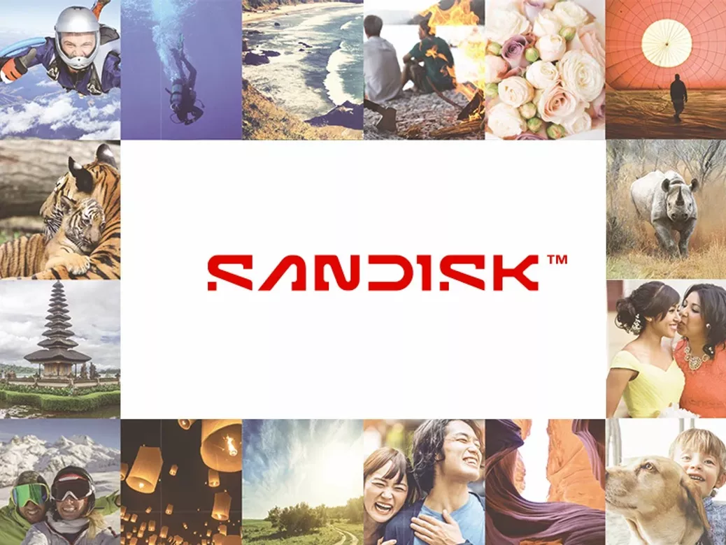 Buy SSD and Memory Cards SanDisk in B2B shop