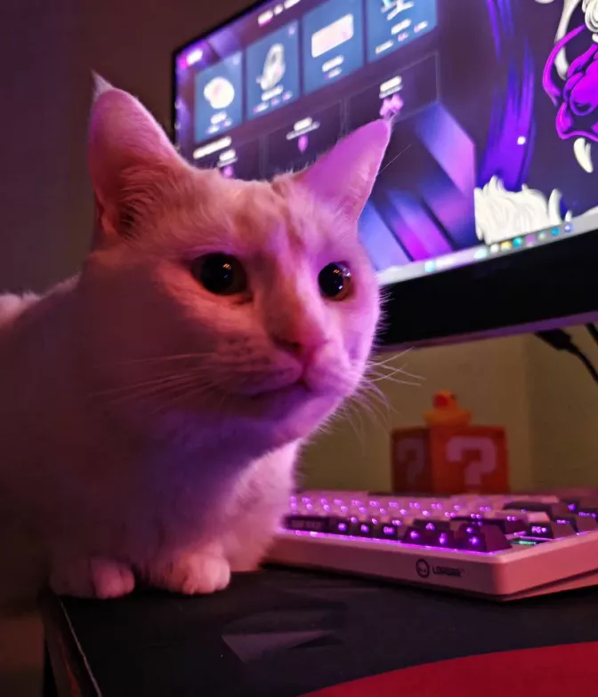 Gaming presets – what is preset in games and how to use it