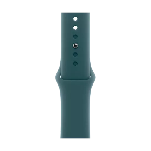 Apple 42mm Sport Band - S/M & M/L Band Extension Sport Band Lake Green for Apple Watch 38/42 mm