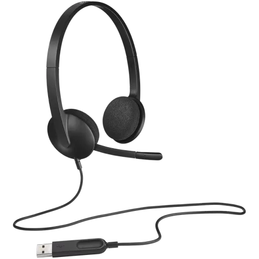 Լարով Ականջակալների խոսափողով LOGITECH (CIS) H340, Սև