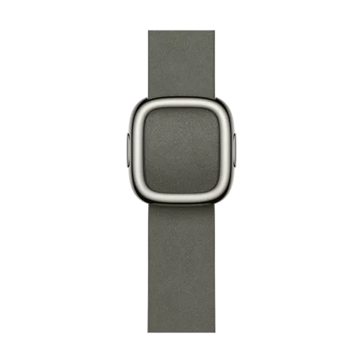 Apple 42mm Modern Buckle Band Extension Modern Buckle Sage Grey for Apple Watch 42 mm