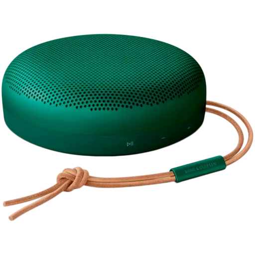 BANG & OLUFSEN Beosound A1 2nd Gen Тасымалды үндеткіш Жасыл