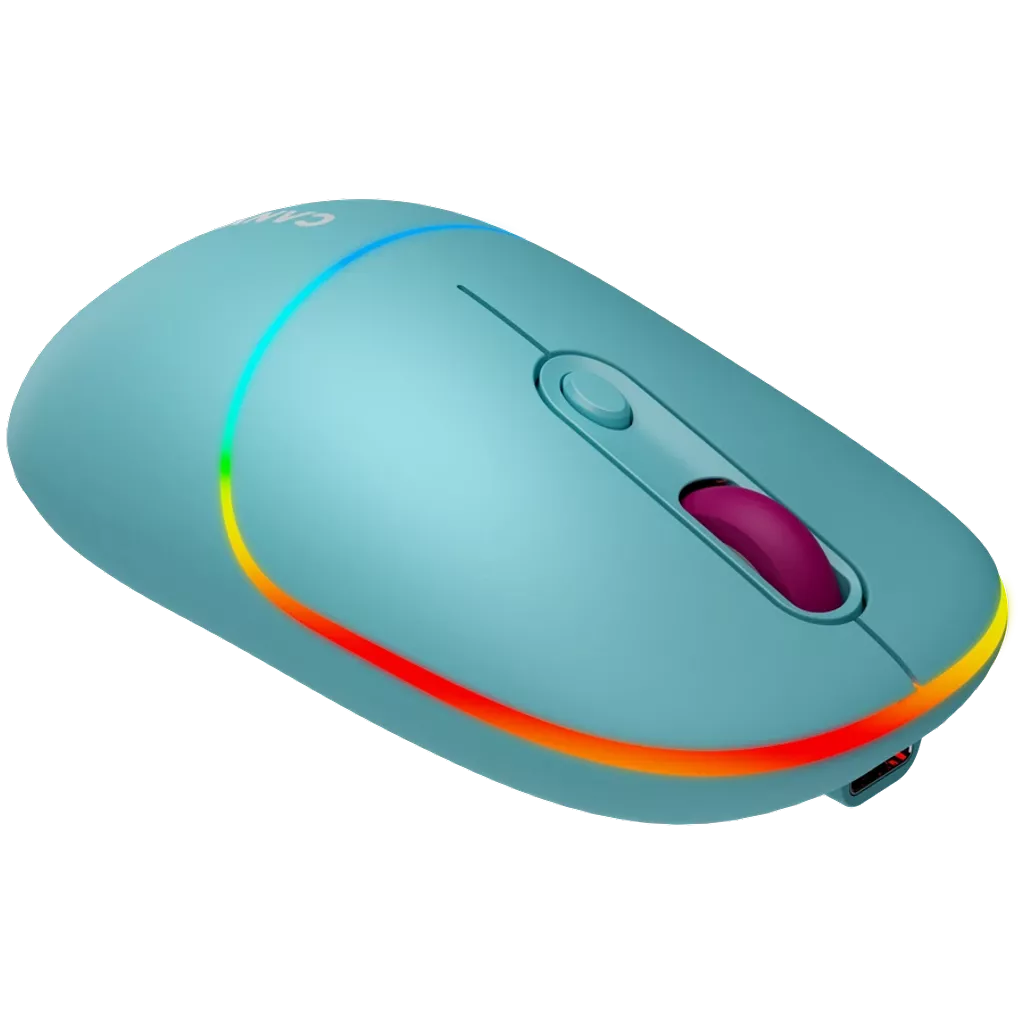 Dual mode wireless mouse MW 22 Canyon