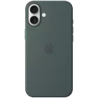 APPLE Case Silicone Case with MagSafe with MagSafe, Lake Green for iPhone 16 Plus — Image №1