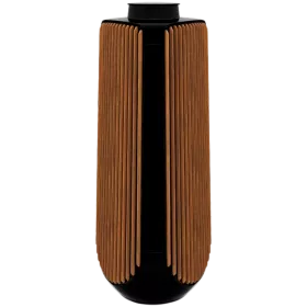BANG & OLUFSEN Beolab 50 Audio System Piano Black — Image №1